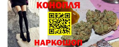 прущие крисы Славгород