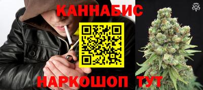 прущие крисы Славгород