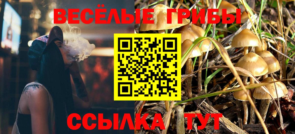 Мариинск  Галлюциногенные грибы MAGIC MUSHROOMS  Вход с VPN 